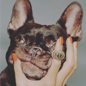 Meet your Posher, Madeleine